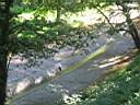 x2 La riviere Petrusse.JPG